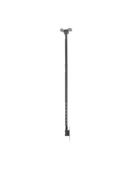 AISENS Soporte de techo giratorio, inclinable, extensible para monitor/TV 50kg de 23”-43”, Negro