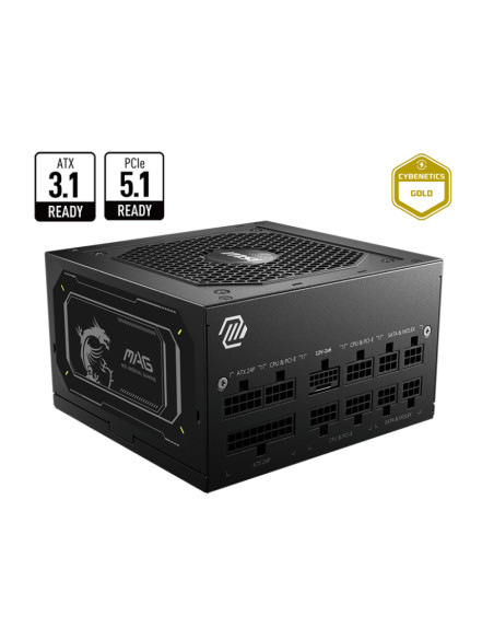 MSI MAG A750GL PCIE5 II unidad de fuente de alimentación 750 W 20+4 pin ATX ATX Negro