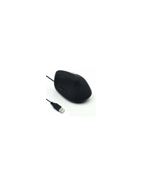 Ewent EW3157 ratón mano derecha USB tipo A Óptico 1800 DPI