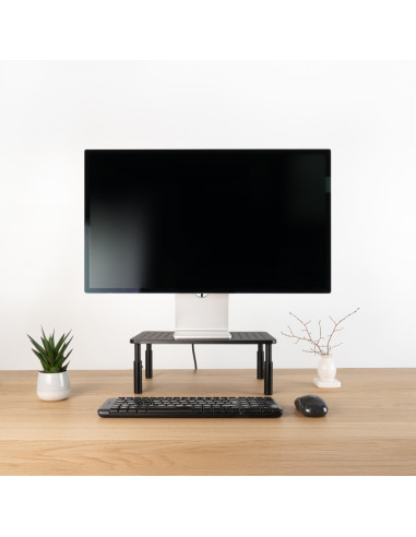 TooQ TQMR081 soporte para monitor Escritorio