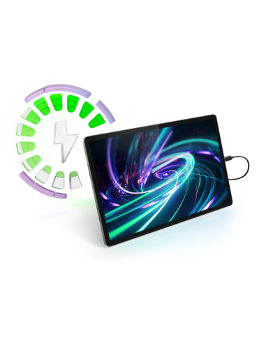 Lenovo Idea Tab Pro Mediatek 256 GB 32,3 cm (12.7") 8 GB Wi-Fi 6E (802.11ax) Android 14 Gris