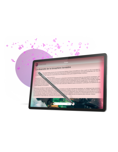 Lenovo Idea Tab Pro Mediatek 256 GB 32,3 cm (12.7") 8 GB Wi-Fi 6E (802.11ax) Android 14 Gris