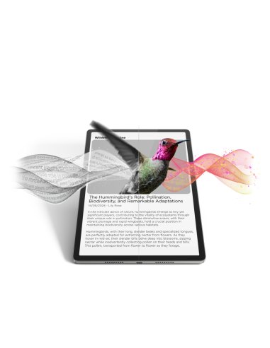 Lenovo Idea Tab Pro Mediatek 256 GB 32,3 cm (12.7") 8 GB Wi-Fi 6E (802.11ax) Android 14 Gris