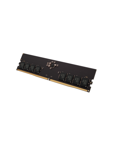 Team Group ELITE módulo de memoria 32 GB 1 x 32 GB DDR5 11200 MT/s ECC
