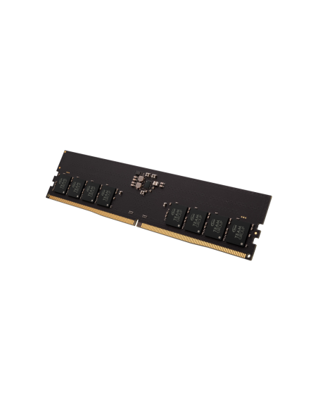 Team Group ELITE módulo de memoria 32 GB 1 x 32 GB DDR5 11200 MT/s ECC