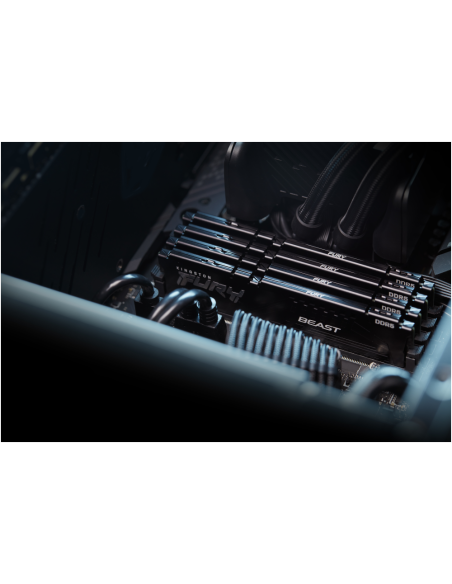 Kingston Technology FURY Beast módulo de memoria 32 GB 2 x 16 GB DDR5 6000 MT/s