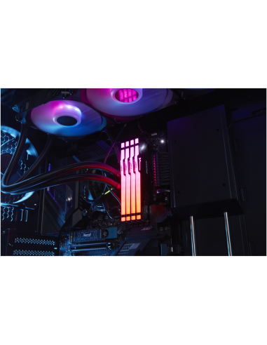 Kingston Technology FURY Beast RGB módulo de memoria 32 GB 1 x 32 GB DDR5 6000 MT/s