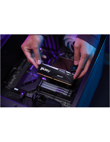 Kingston Technology FURY Beast RGB módulo de memoria 32 GB 1 x 32 GB DDR5 6000 MT/s