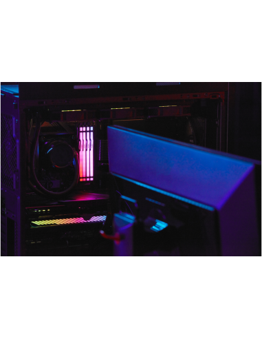 Kingston Technology FURY Beast RGB módulo de memoria 32 GB 1 x 32 GB DDR5 6000 MT/s