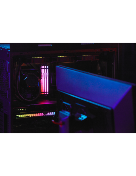 Kingston Technology FURY Beast RGB módulo de memoria 32 GB 1 x 32 GB DDR5 6000 MT/s