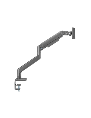 Ewent EW1529 soporte para monitor 124,5 cm (49") Plata Escritorio