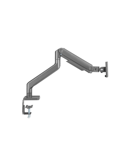 Ewent EW1529 soporte para monitor 124,5 cm (49") Plata Escritorio