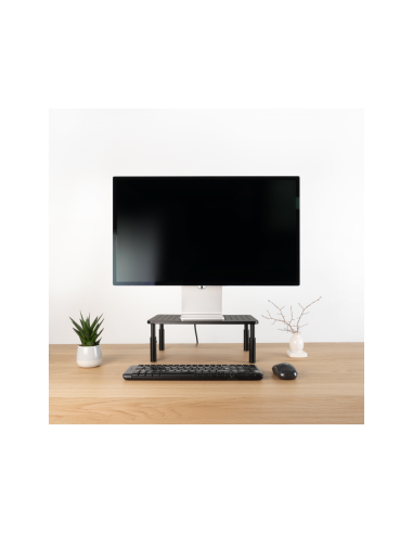 TooQ TQMR081 soporte para monitor Escritorio