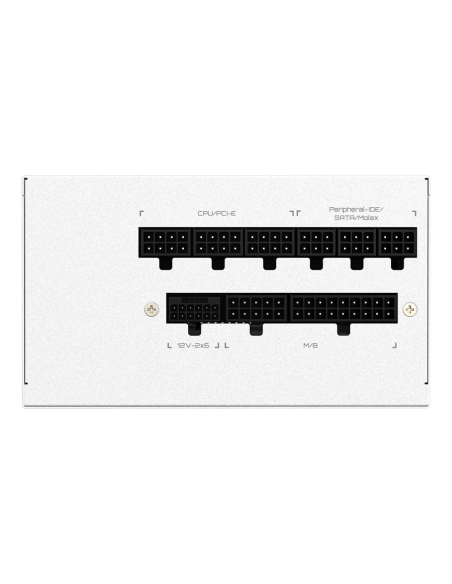 GIGABYTE UD1000GM PG5 V2 ICE unidad de fuente de alimentación 1000 W 20+4 pin ATX Blanco