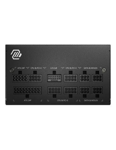 MSI MAG A750GL PCIE5 II unidad de fuente de alimentación 750 W 20+4 pin ATX ATX Negro