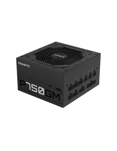 GIGABYTE P750GM unidad de fuente de alimentación 750 W 20+4 pin ATX ATX Negro