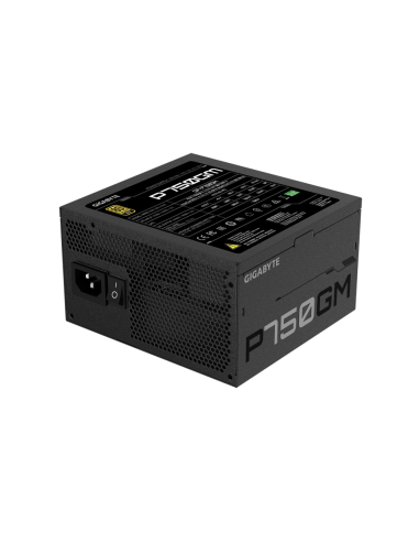 GIGABYTE P750GM unidad de fuente de alimentación 750 W 20+4 pin ATX ATX Negro