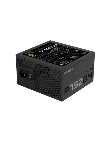 GIGABYTE P750GM unidad de fuente de alimentación 750 W 20+4 pin ATX ATX Negro