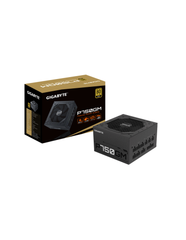 GIGABYTE P750GM unidad de fuente de alimentación 750 W 20+4 pin ATX ATX Negro