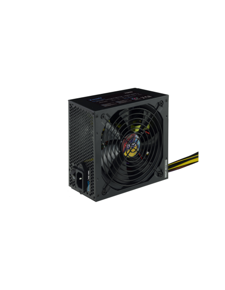 TooQ TQAPOLO-700SP unidad de fuente de alimentación 700 W 20+4 pin ATX ATX Negro