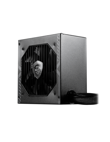 MSI MAG A650BN unidad de fuente de alimentación 650 W 20+4 pin ATX ATX Negro