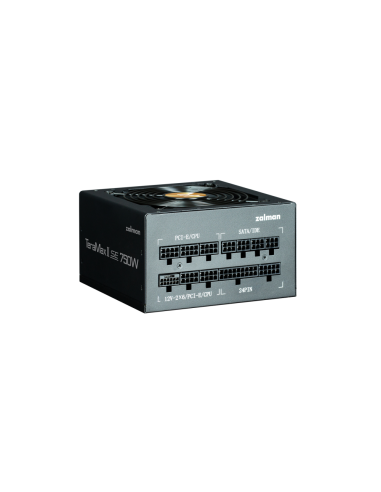Zalman TeramaxII SE unidad de fuente de alimentación 750 W 18+10 pin ATX ATX Negro