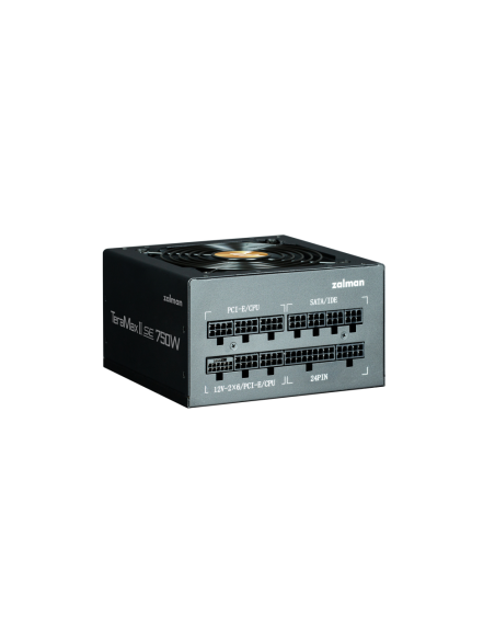 Zalman TeramaxII SE unidad de fuente de alimentación 750 W 18+10 pin ATX ATX Negro