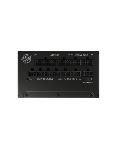 MSI MPG A1000G PCIE5 unidad de fuente de alimentación 1000 W 20+4 pin ATX ATX Negro