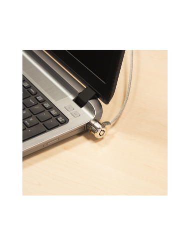 Ewent EW1242 cable antirrobo Negro, Acero inoxidable 1,5 m