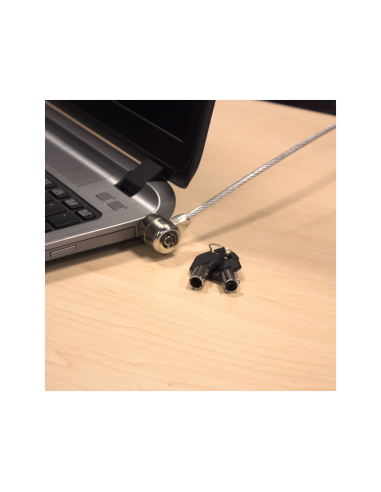 Ewent EW1242 cable antirrobo Negro, Acero inoxidable 1,5 m