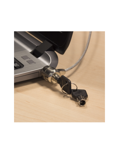 Ewent EW1242 cable antirrobo Negro, Acero inoxidable 1,5 m