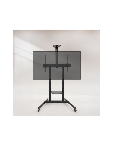 TooQ “AQUILES” Soporte de Suelo con Ruedas con Regulación de Altura para Pantallas 60"-100", Negro