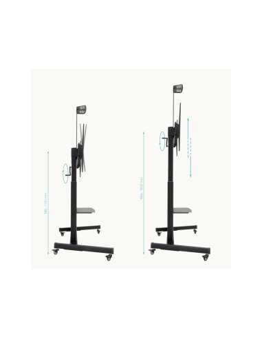TooQ “AQUILES” Soporte de Suelo con Ruedas con Regulación de Altura para Pantallas 60"-100", Negro