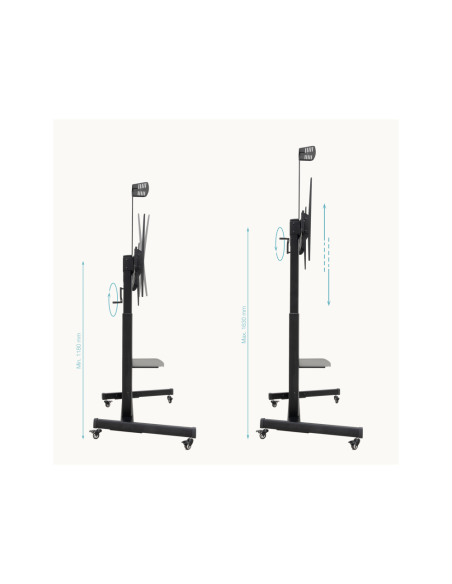 TooQ “AQUILES” Soporte de Suelo con Ruedas con Regulación de Altura para Pantallas 60"-100", Negro