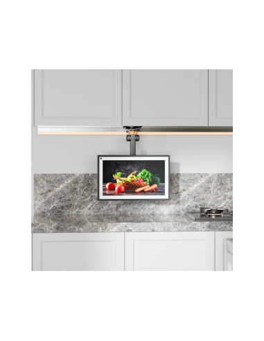 AISENS Soporte de Techo Giratorio, Plegable para Monitor/TV 20Kg de 19-43, Negro