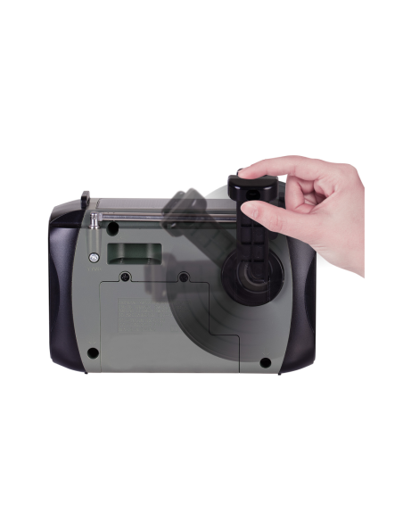 Trevi RA 7F30 BT Portátil Analógica Negro, Gris