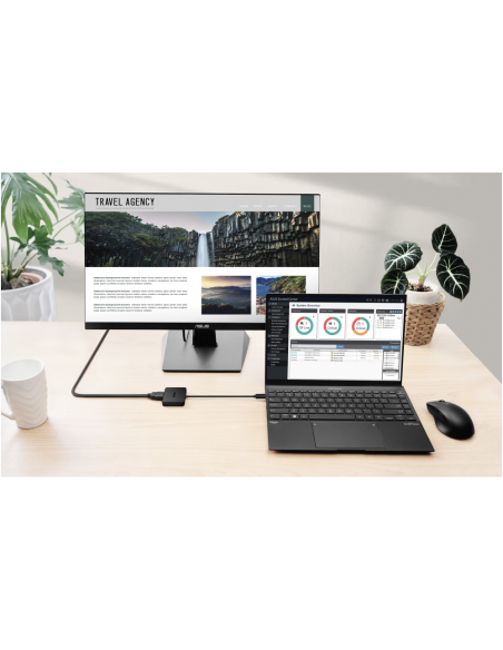 ASUS USB-C Mini Dock Alámbrico USB 3.2 Gen 2 (3.1 Gen 2) Type-C Negro