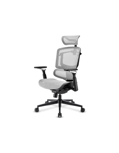 Sharkoon OfficePal C50M Asiento acolchado Respaldo de rejilla
