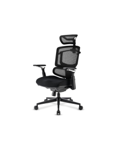 Sharkoon OfficePal C50 Asiento acolchado Respaldo de rejilla