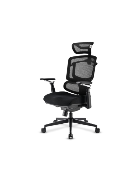Sharkoon OfficePal C50 Asiento acolchado Respaldo de rejilla