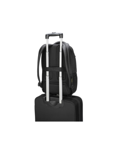 Targus Citygear 43,9 cm (17.3") Mochila Negro