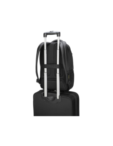 Targus Citygear 43,9 cm (17.3") Mochila Negro
