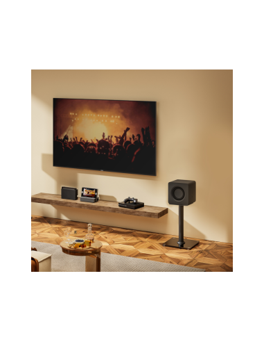 AISENS Soporte Universal De Suelo Para Altavoces, Negro