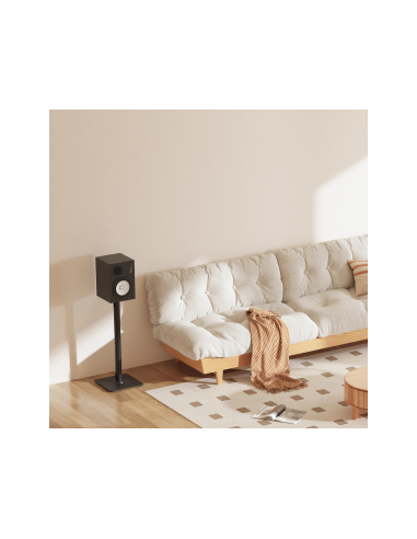 AISENS Soporte Universal De Suelo Para Altavoces, Negro