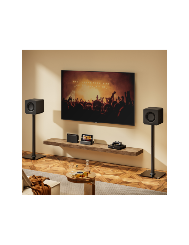 AISENS Soporte Universal De Suelo Para Altavoces, Negro