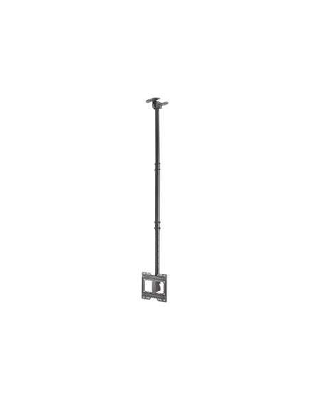 AISENS Soporte de techo giratorio, inclinable, extensible para monitor/TV 50kg de 23”-43”, Negro