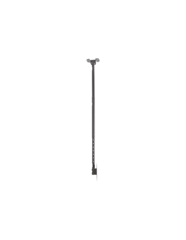 AISENS Soporte de techo giratorio, inclinable, extensible para monitor/TV 50kg de 23”-43”, Negro