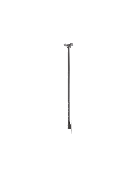 AISENS Soporte de techo giratorio, inclinable, extensible para monitor/TV 50kg de 23”-43”, Negro