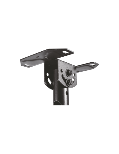 AISENS Soporte de techo giratorio, inclinable, extensible para monitor/TV 50kg de 23”-43”, Negro