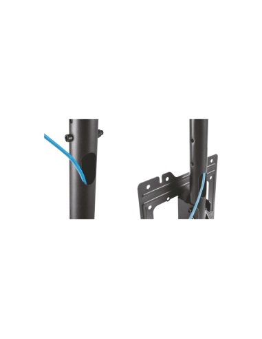 AISENS Soporte de techo giratorio, inclinable, extensible para monitor/TV 50kg de 23”-43”, Negro